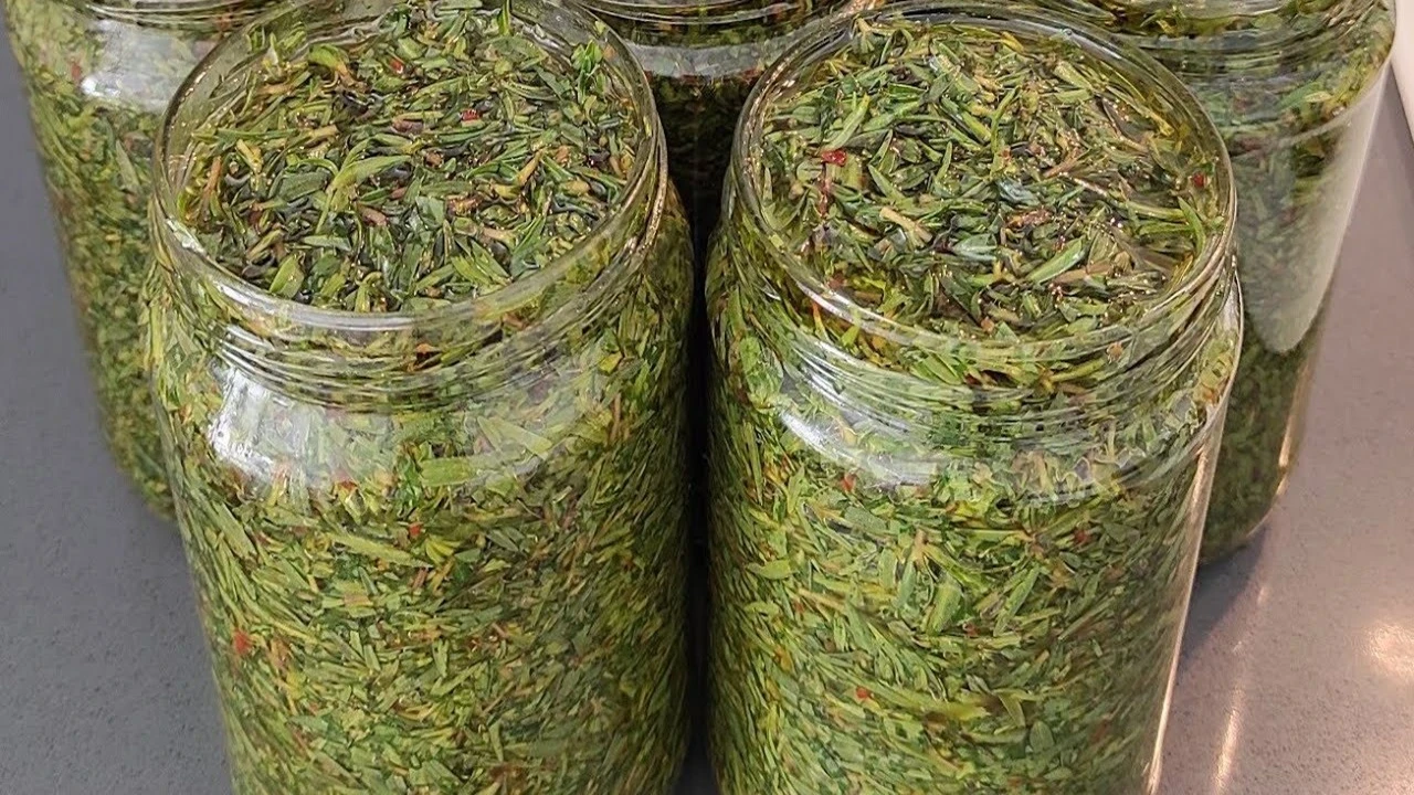 1 kaşık tüketmek yetiyor! Hep yeşilini tüketmiştik, karası meğer daha faydalıymış