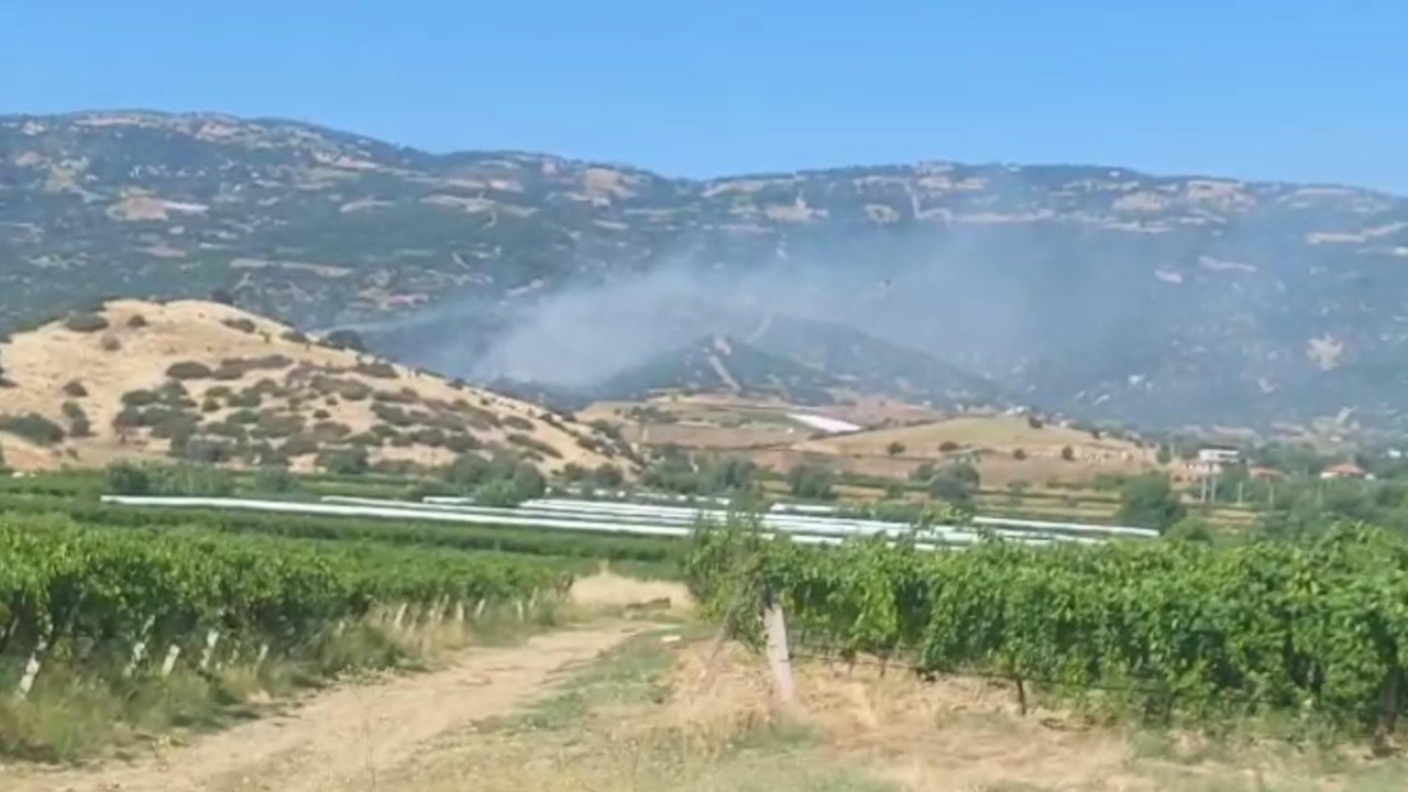 Manisa Sarıgöl'de makilik alanda yangın çıktı