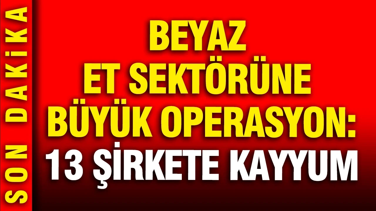 Beyaz et sektörüne büyük operasyon: 13 şirkete kayyum atandı