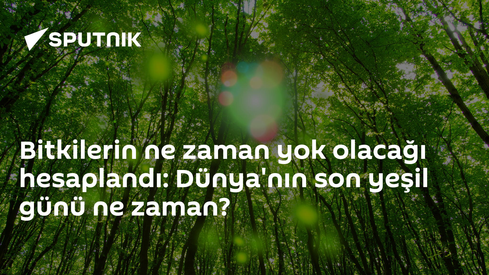 Bitkilerin ne zaman yok olacağı hesaplandı: Dünya'nın son yeşil günü ne zaman?