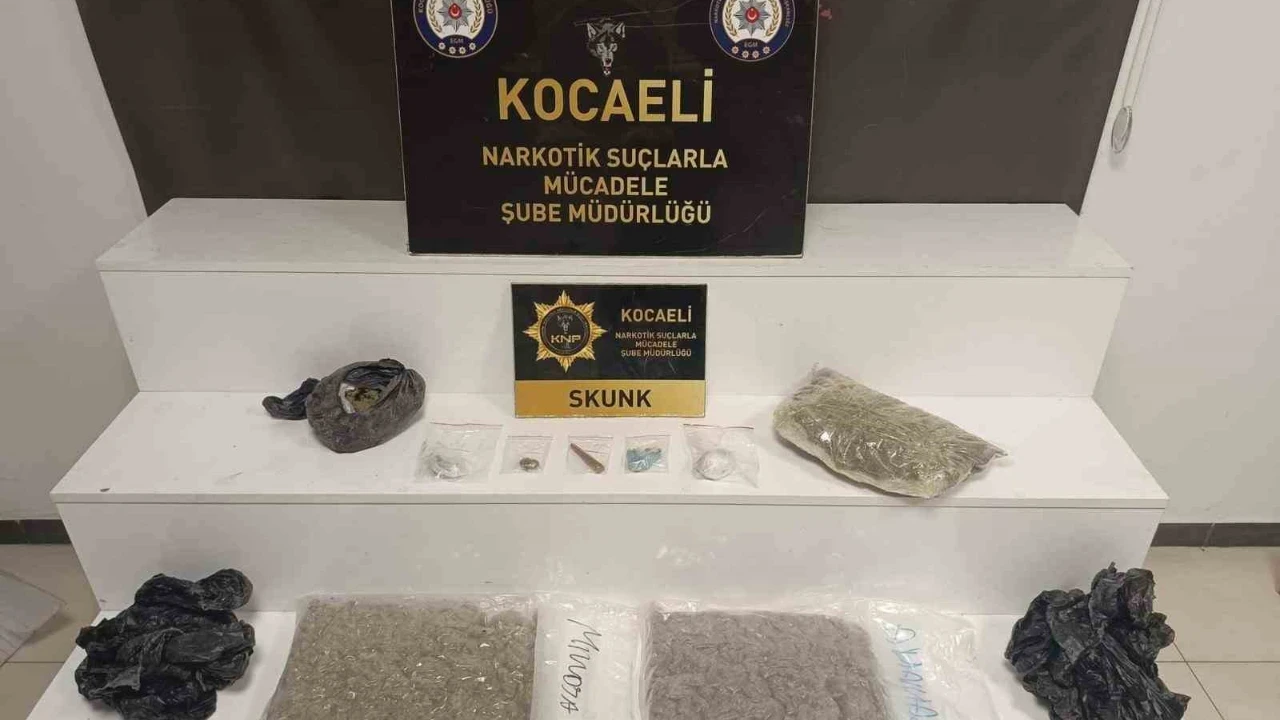 Kocaeli’de kilolarca skunk ele geçirildi