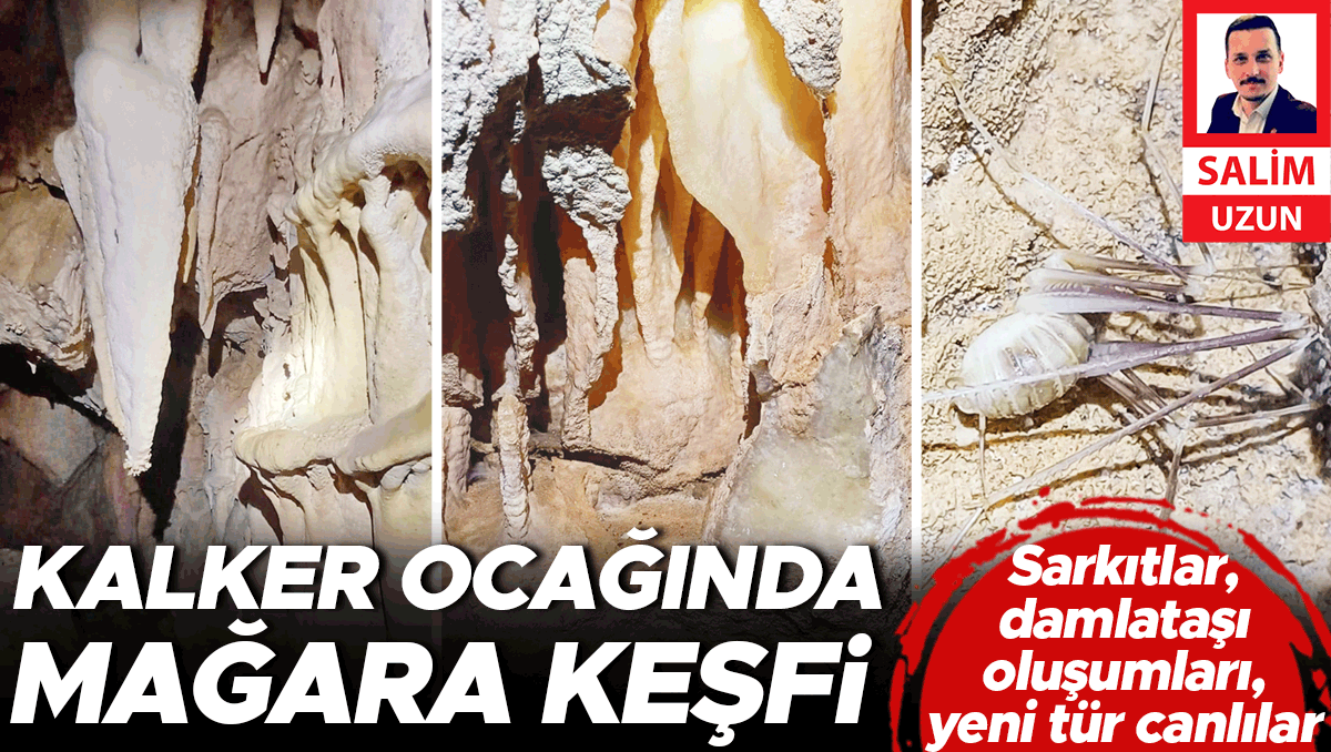 Sarkıtlar, damlataşı oluşumları, yeni tür canlılar... Kalker ocağında mağara keşfi
