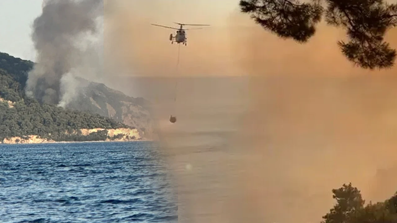 Büyükada’da Plajdan Ormana Sıçrayan Yangın Söndürüldü