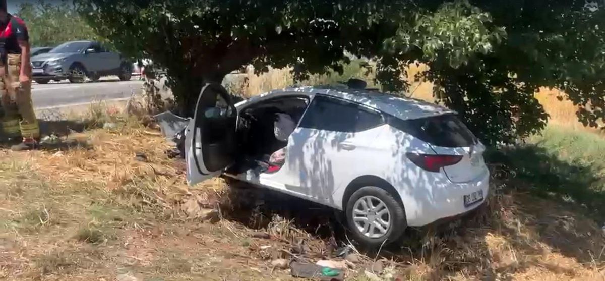 Sollama yaparken ağaca çarptı: 4 ağır yaralı