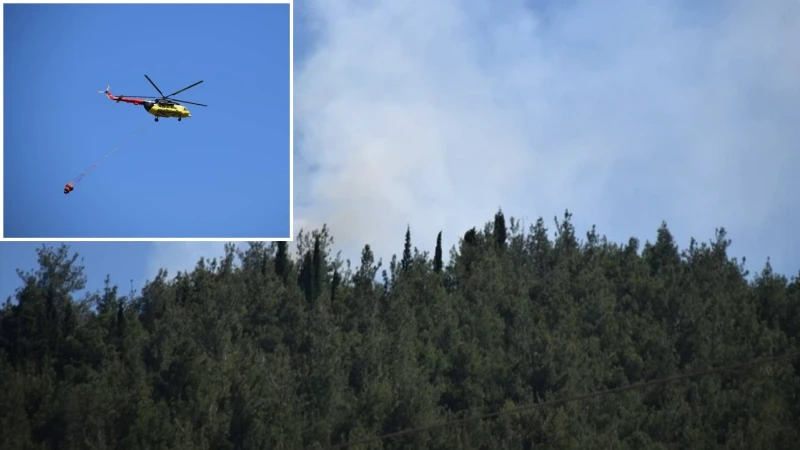 Manisa'da orman yangını çıktı: Bölgeye çok sayıda ekip sevk edildi