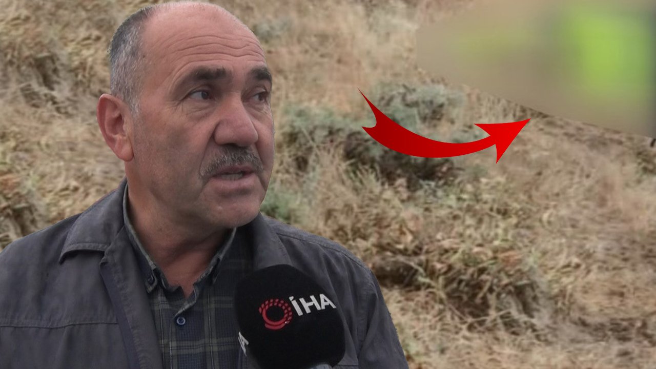 Evden çıktıktan 5 dakika sonra... Yıldırım isabet etti, oracıkta can verdi