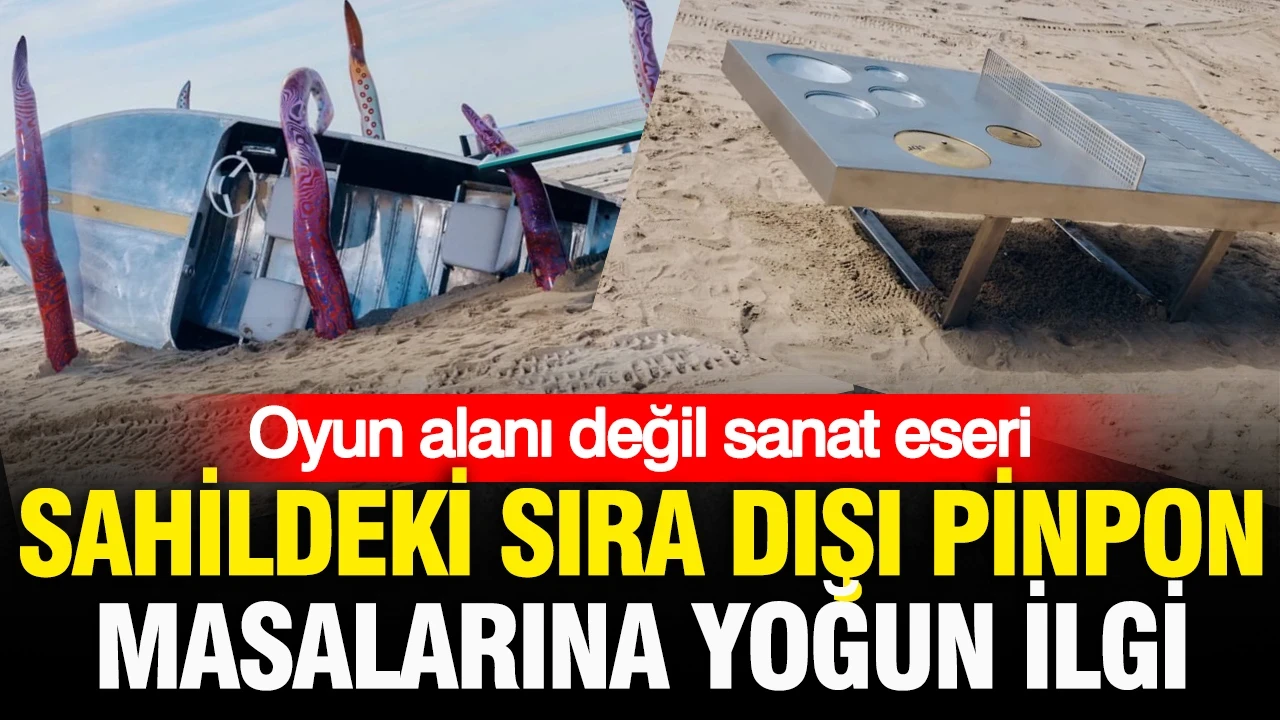 Oyun alanı değil sanat eseri: ABD'de sahildeki sıra dışı pinpon masalarına yoğun ilgi