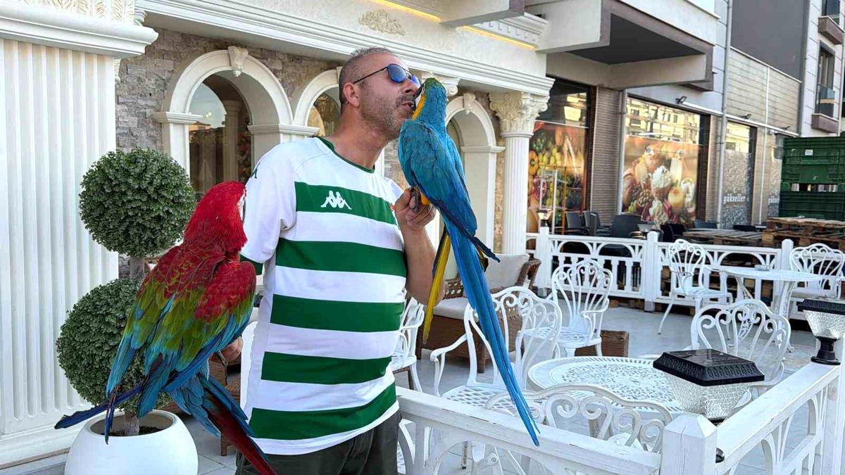 Onları görenler dönüp bir daha bakıyor