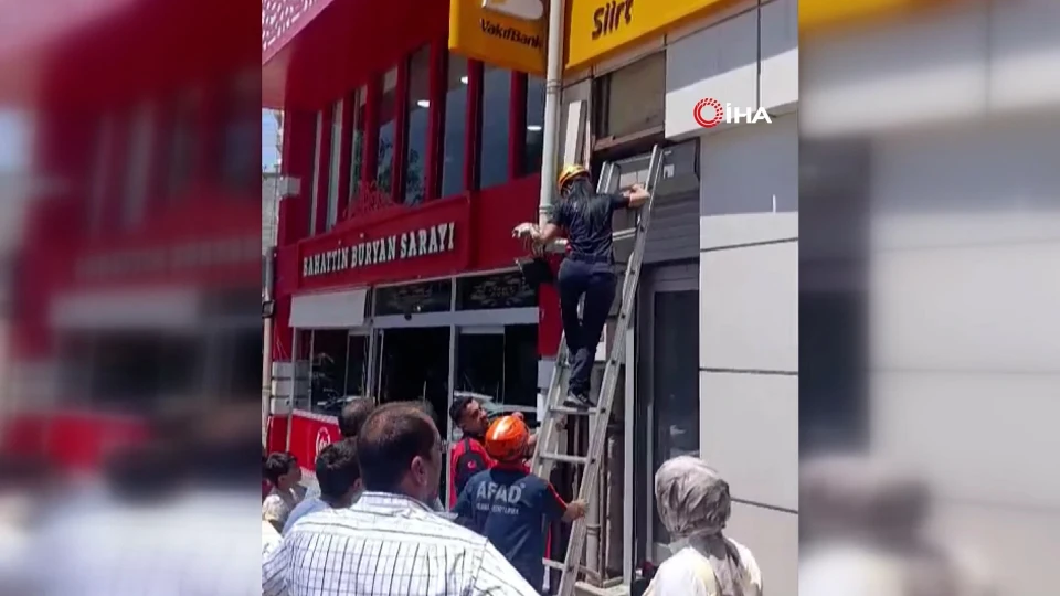 Siirt'te Reklam Panosuna Sıkışan Kedi İçin AFAD Seferber Oldu