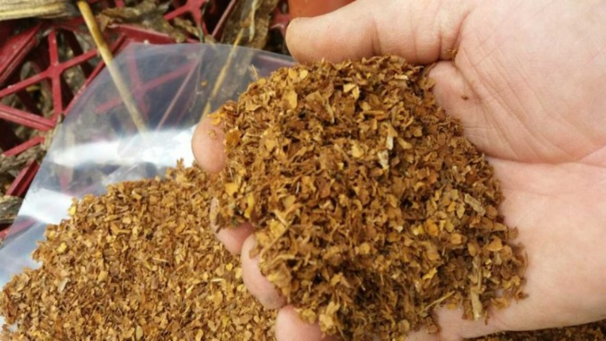 İzmir'de kilolarca kaçak tütün ele geçirildi!
