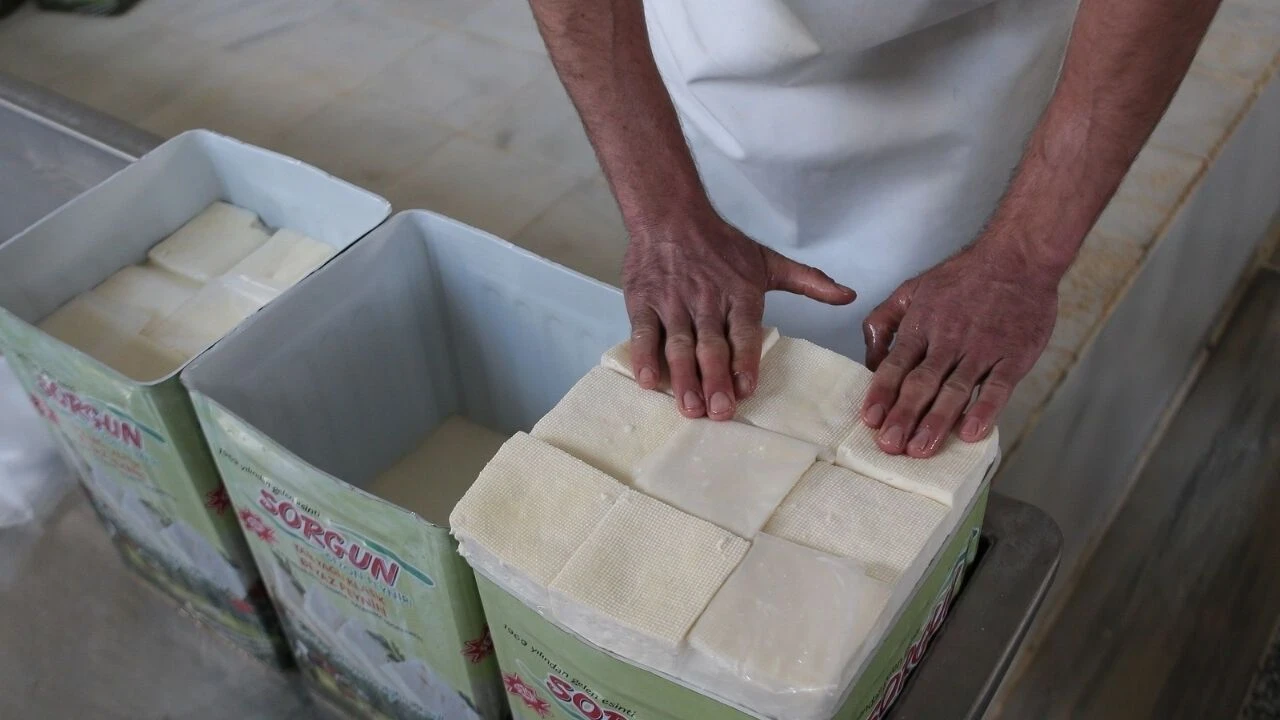 Bursa'nın meşhur Sorgun peyniri artık coğrafi işaretli