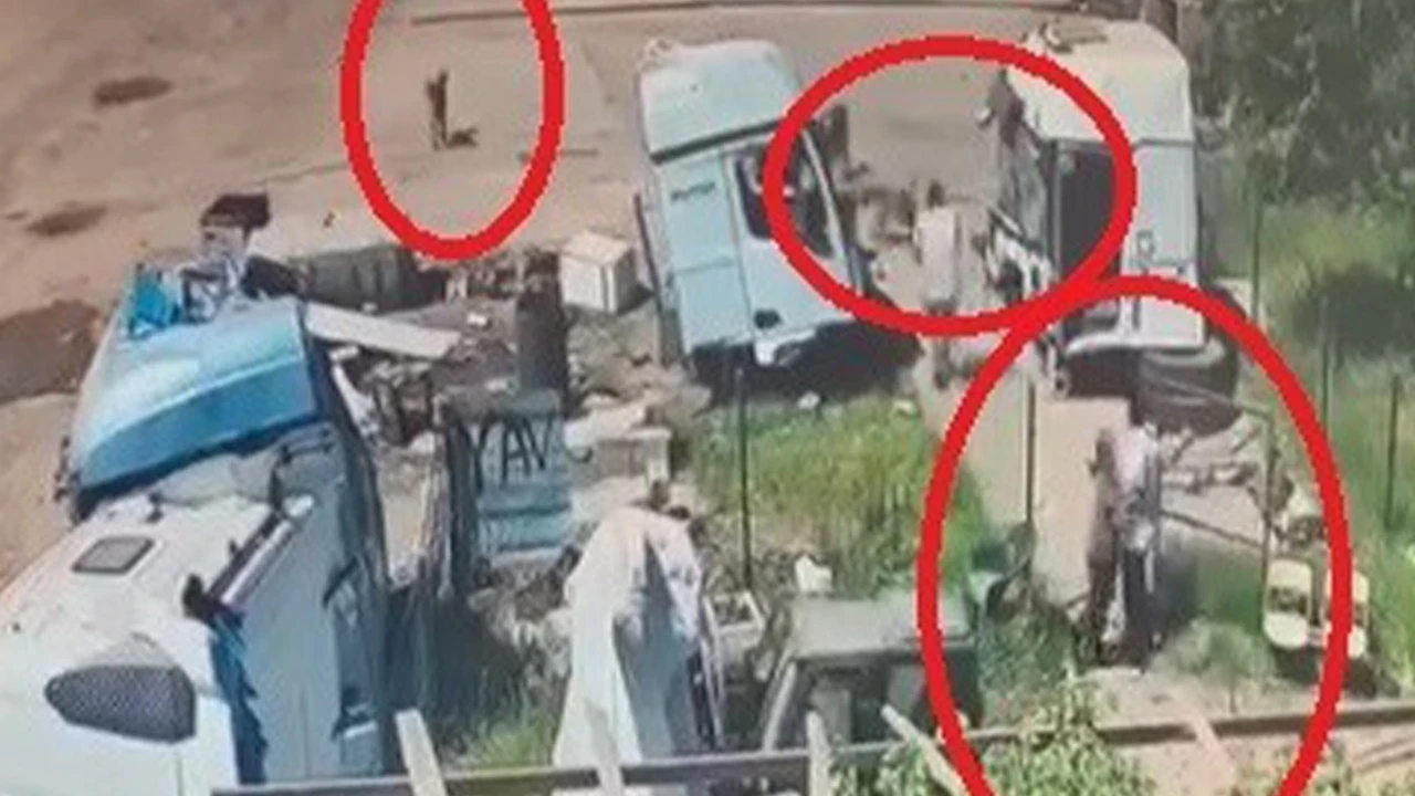 Sokakta korku dolu anlar: Şırnak'ta köpekler küçük çocuğa saldırdı!