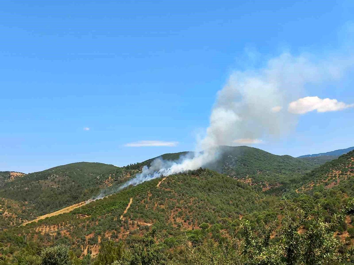 Burhaniye'de çıkan orman yangını kontrol altına alındı