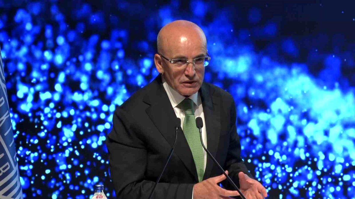 Bakan Şimşek: "Terörle mücadeleye harcadığımız kaynakları, insani kalkınmaya ve gelişmeye harcayacağız"