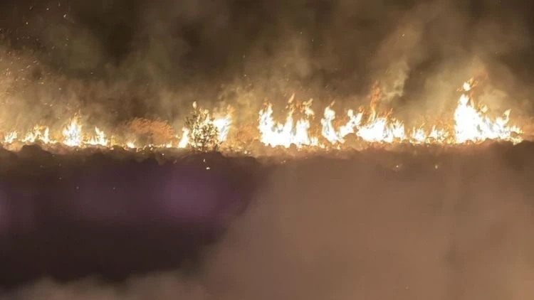 Bodrum'da korkutan yangın