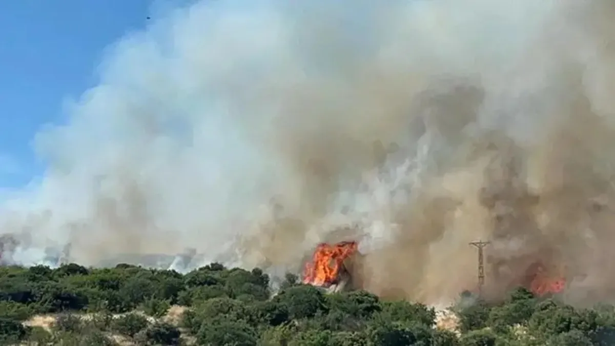 Çanakkale'de korkutan orman yangını