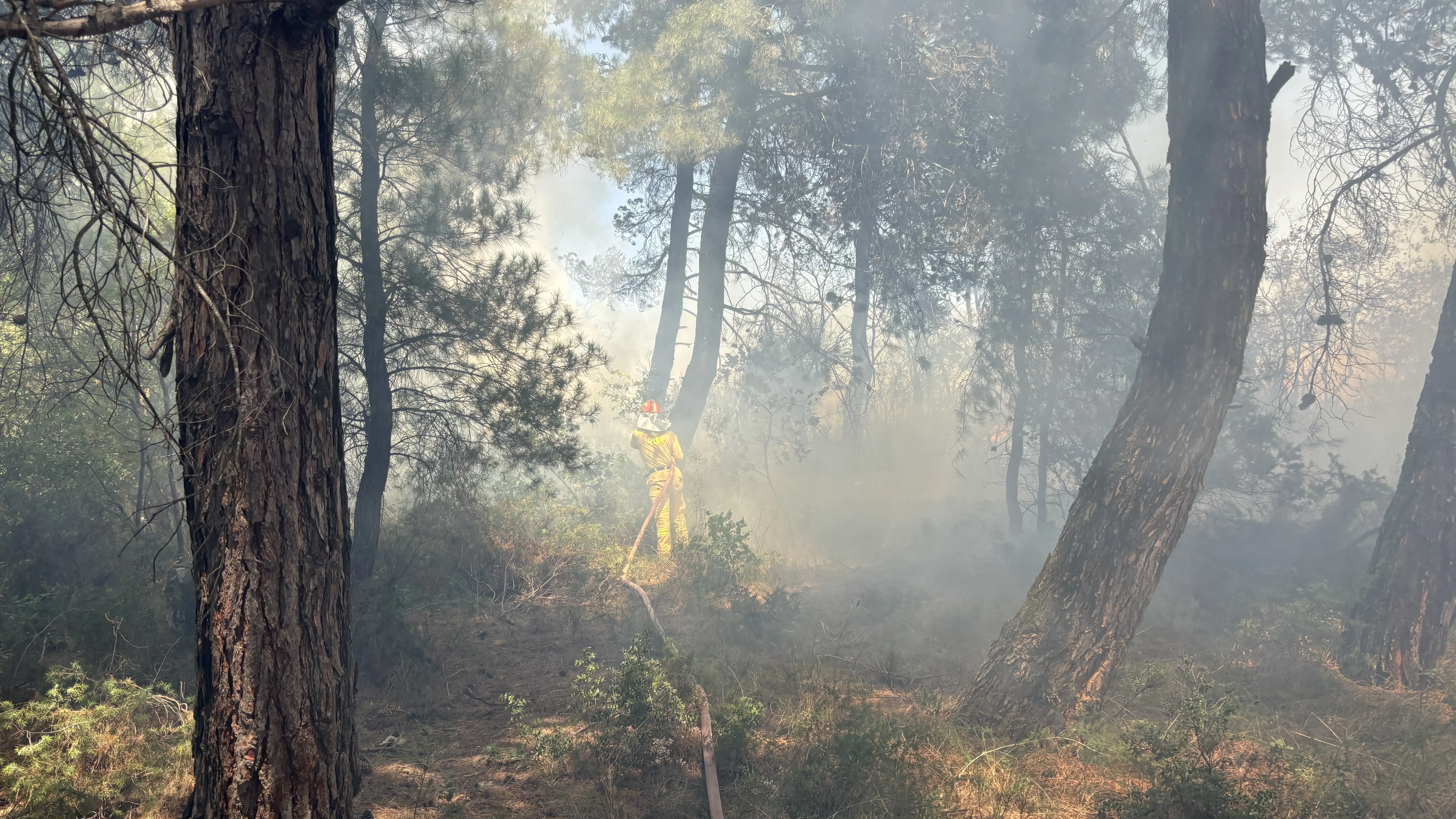Çanakkale'de tarım arazisinde yangın