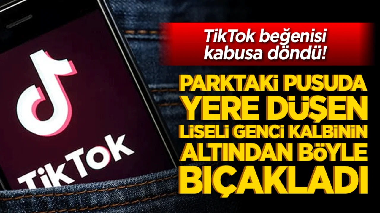 TikTok beğenisi kabusa döndü! Parktaki pusuda yere düşen liseli genci kalbinin altından böyle bıçıkladı!