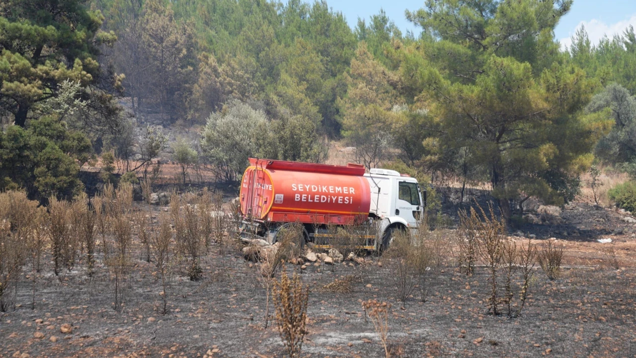 Muğla’da orman yangını hızlı müdahalesiyle kontrol altına alındı