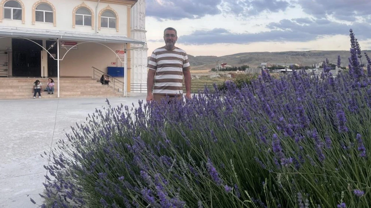 Cami bahçesinde lavanta kokulu görsel şölen