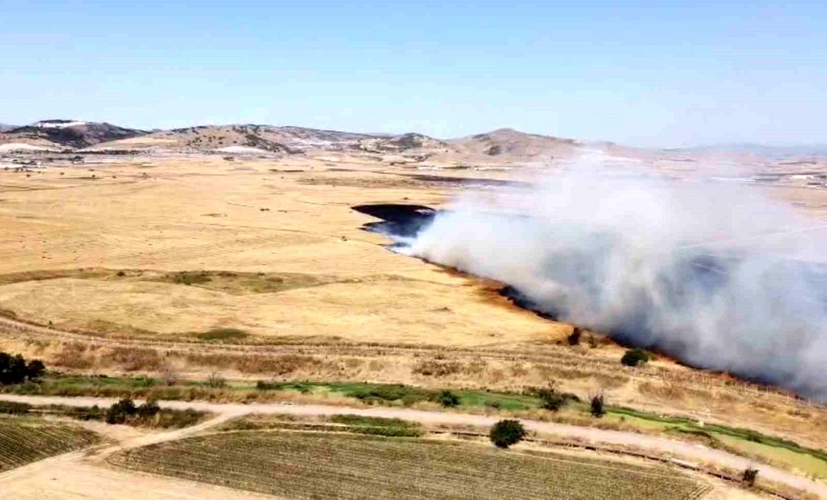 Arazi yangını etrafı küle çevirdi