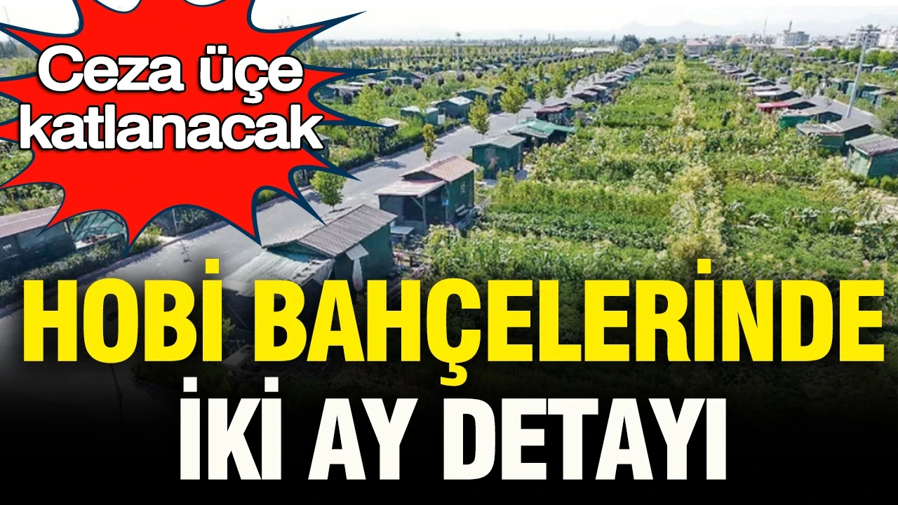 Hobi bahçelerinde iki ay detayı: Ceza üçe katlanacak