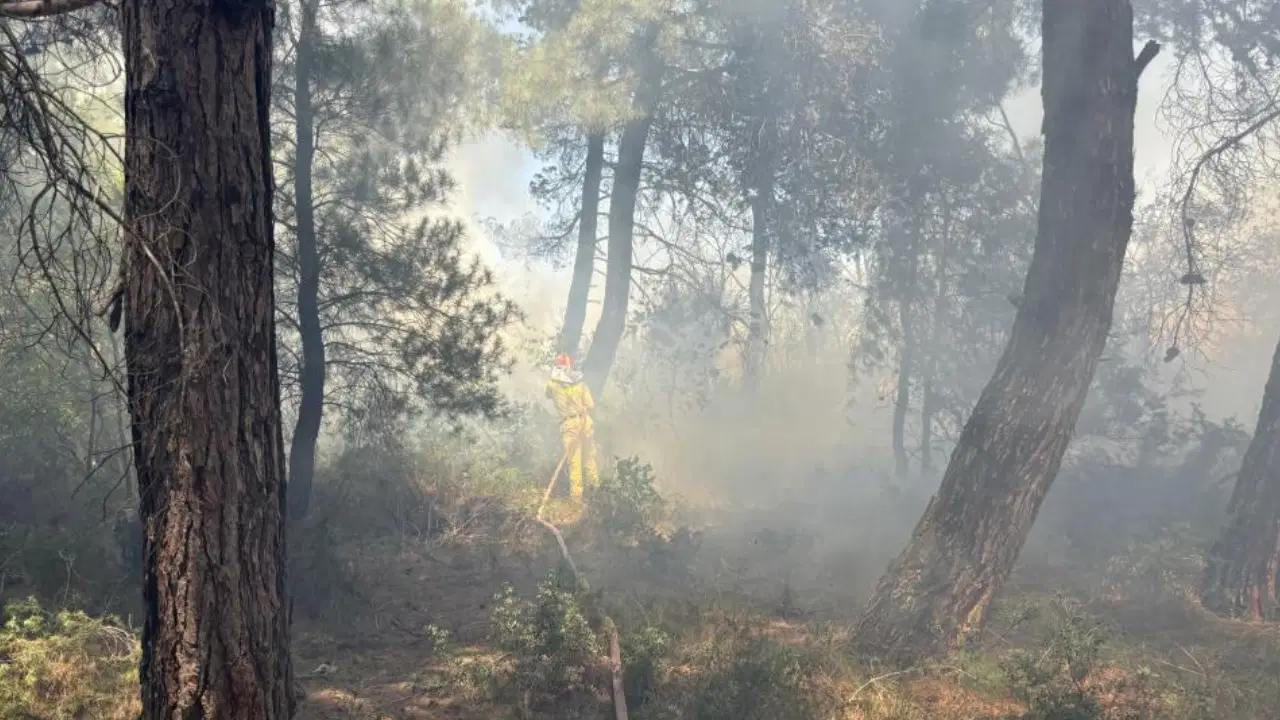 Çanakkale'de tarım arazisinde yangın