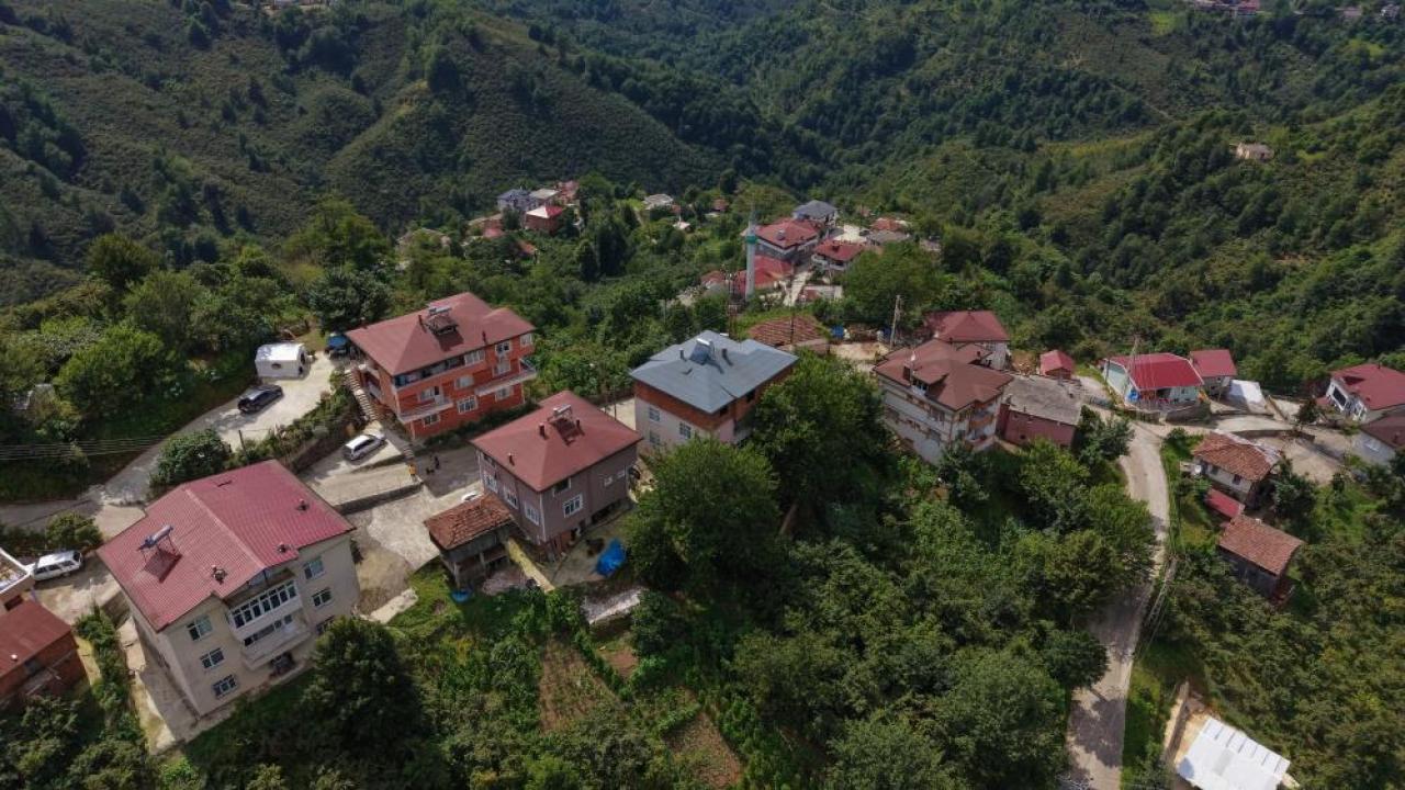 Ordu'nun 'Sarı' mahallesi: Herkesin soyadı aynı, resmi işler lakaplarla yürütülüyor