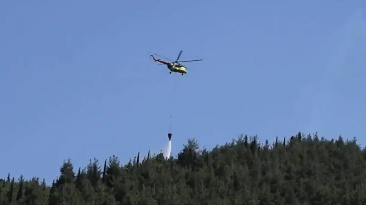 Manisa'da orman yangını çıktı