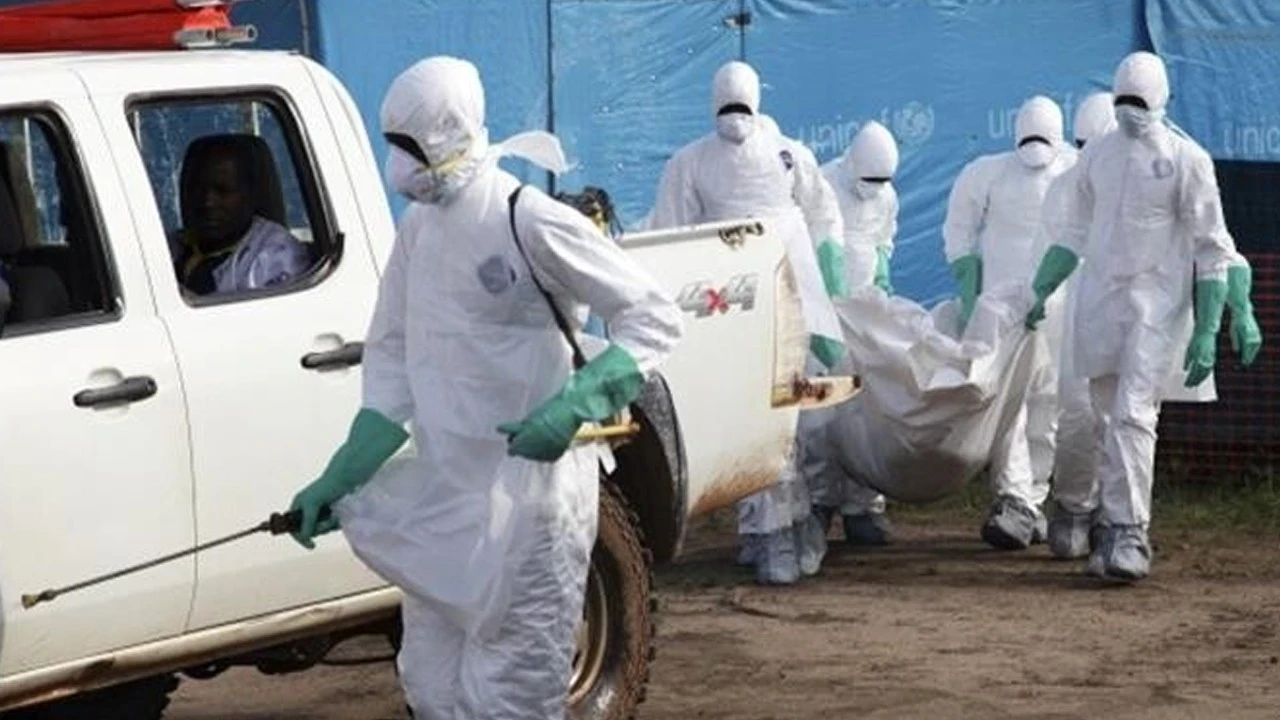 Ebola salgınının Afrika'ya faturası belli oldu