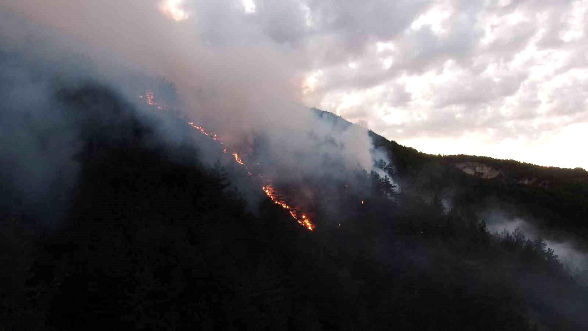 Kastamonu'daki orman yangınına müdahale sürüyor