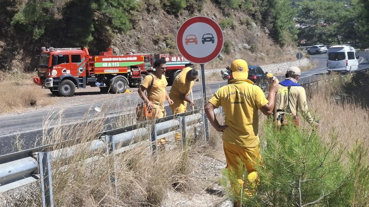 Orman yangınlarına karşı kara yolu kenarlarında güvenlik şeridi oluşturuluyor