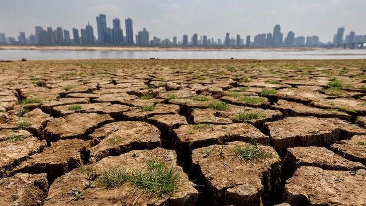 El Nino, dünya genelinde büyük enflasyon dalgalarını beraberinde getiriyor