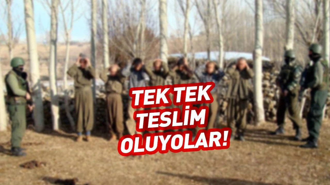 134 PKK'lı teslim oldu! Son veriler paylaşıldı