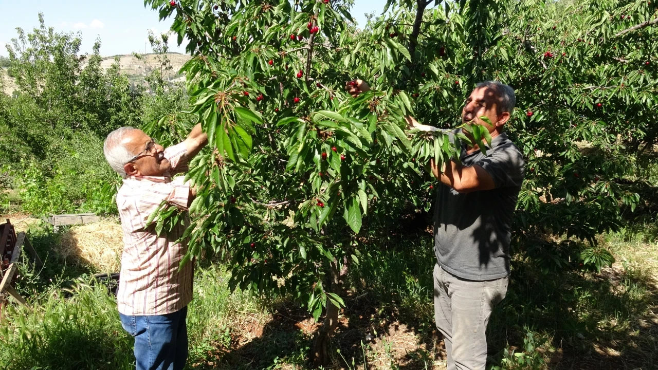 Günlük 3 bin liraya çalışacak eleman bulamıyorlar: Talep oldukça yüksek