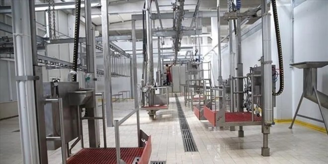 Hayvan kesimhanelerine kamera zorunluluğu getirildi
