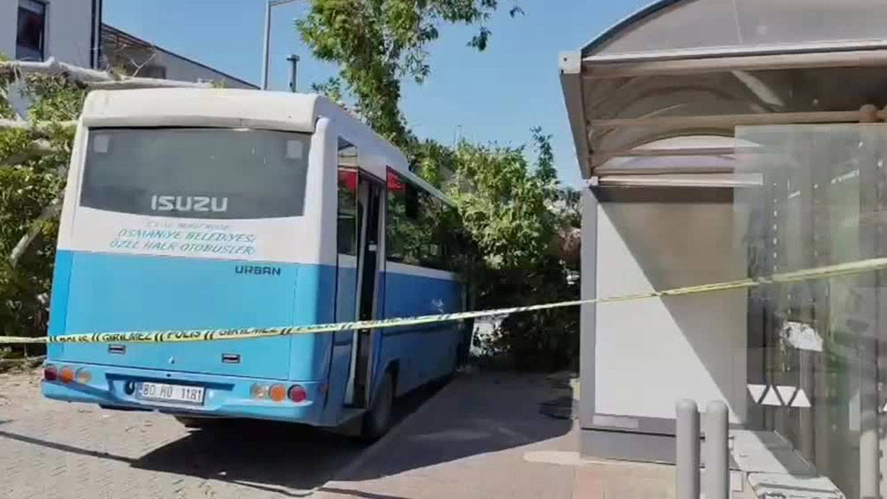 Osmaniye’de durakta bekleyen otobüse ağaç düştü
