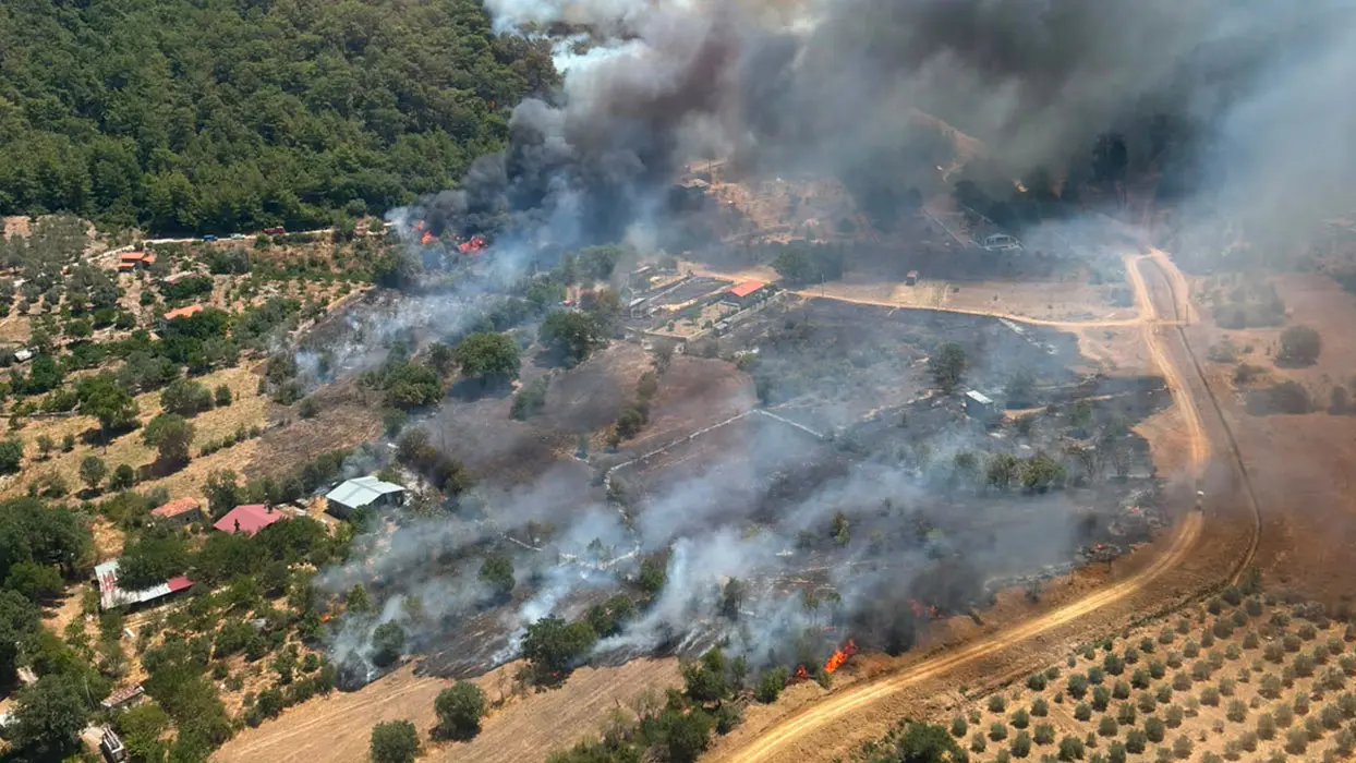 Fethiye'de orman yangını çıktı