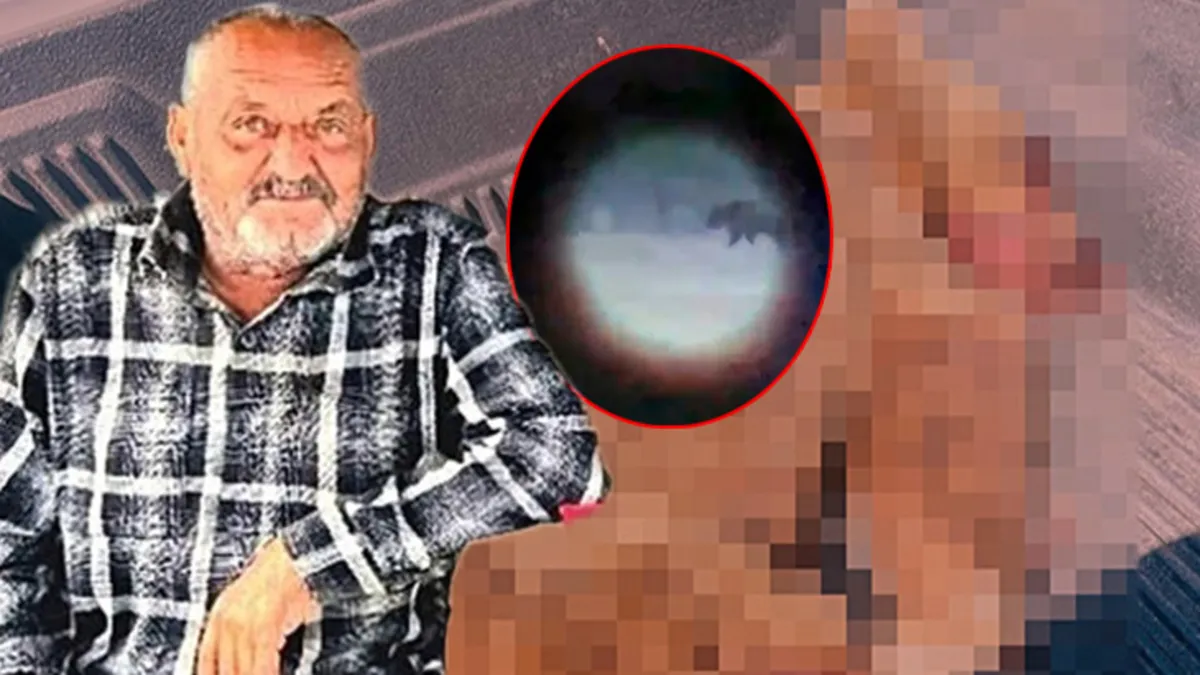 İzmir'de ayı vahşeti! Katil ayıyı vatandaşlar öldürdü