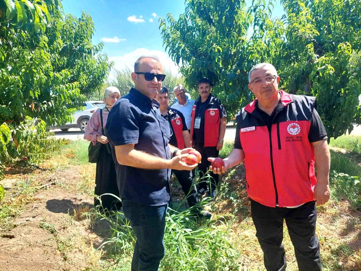 Çanakkale'de bitkisel üretim projeleri değerlendirildi