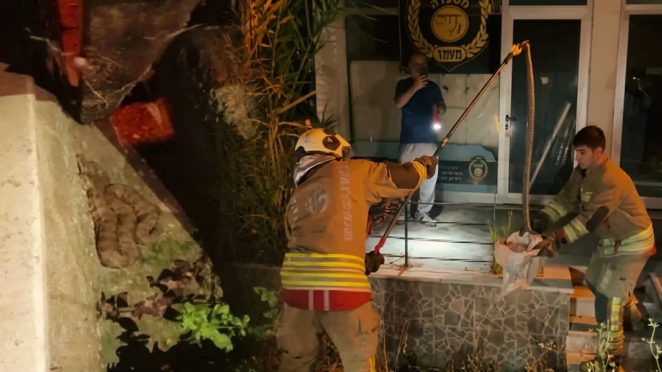 Hatay İskenderun'da korku dolu anlar: Bahçeye giren 1.5 metrelik yılan ekipleri harekete geçirdi | Gündem Haberleri