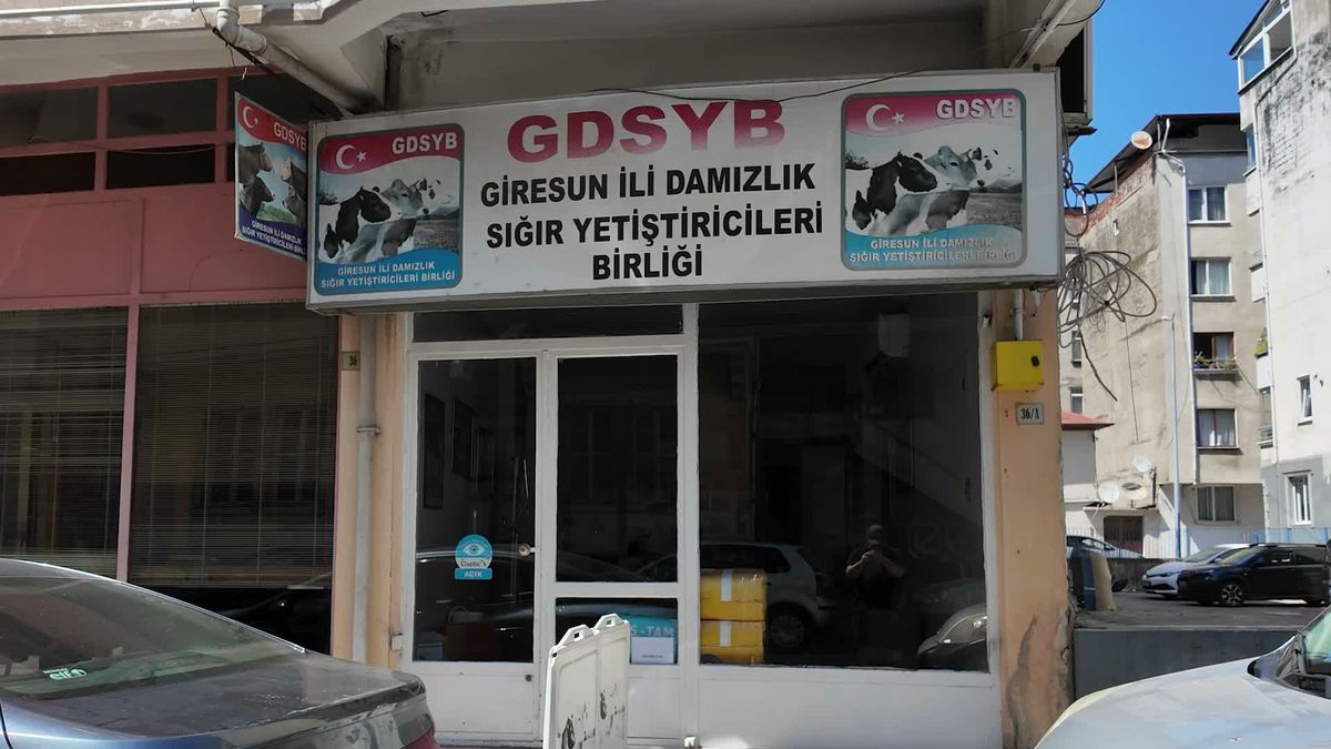 Giresun Süt Üreticileri Birliği'nin eski yöneticileri hakkında soruşturma