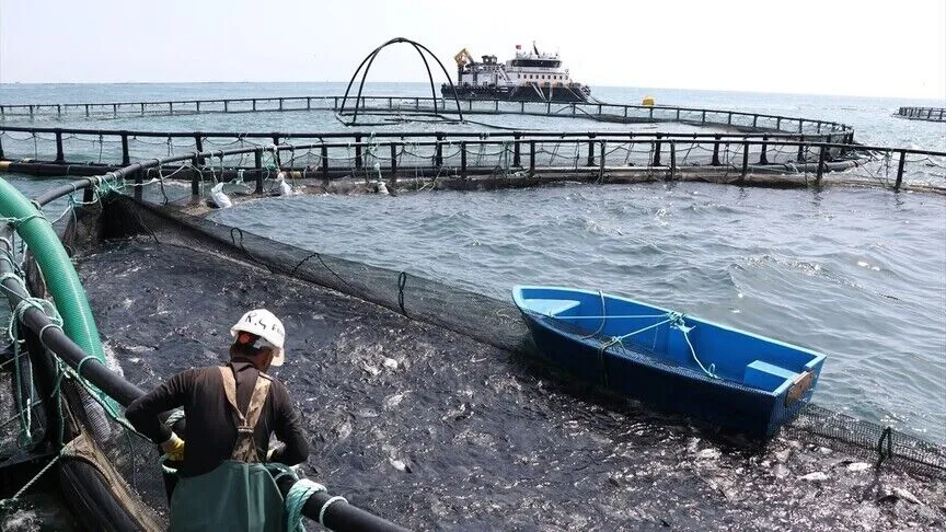 "Türk havyarı"nın dünya pazarlarındaki yerinin sağlamlaştırılması hedefleniyor
