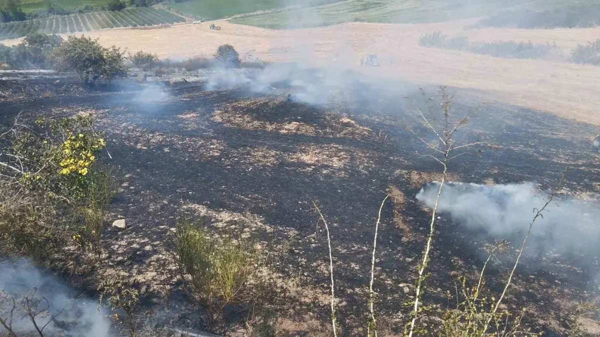 Balıkesir'de alevler 10 dönümü yaktı geçti