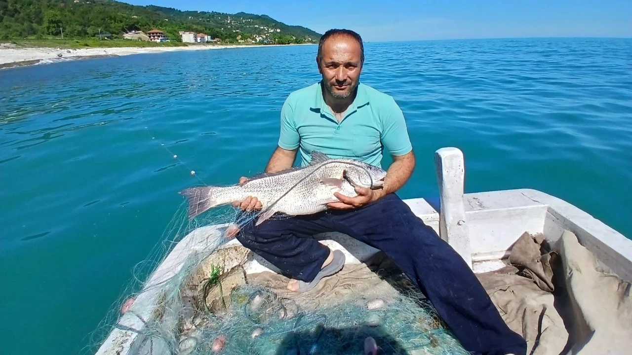 Karadeniz'de balıkçıların ağına takılan balık şaşırttı