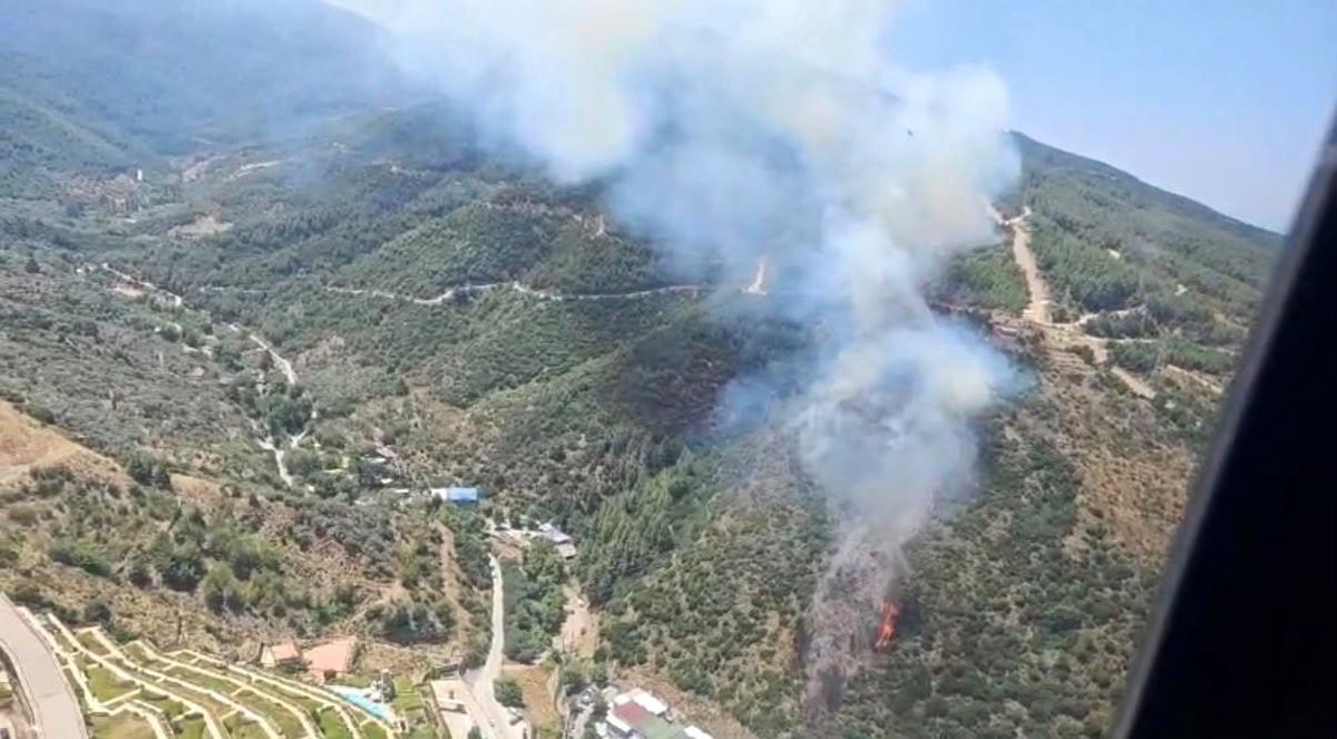 Narlıdere'deki orman yangınına havadan ve karadan müdahale