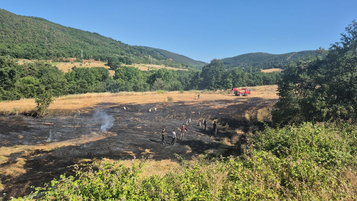 Bursa'da ot yangını; havadan ve karadan müdahale ediliyor