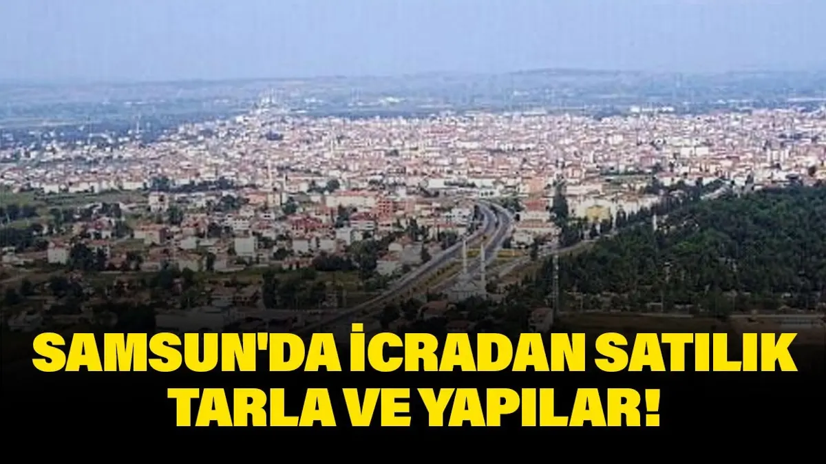 Samsun Bafra'da icradan satılık tarla ve yapılar!