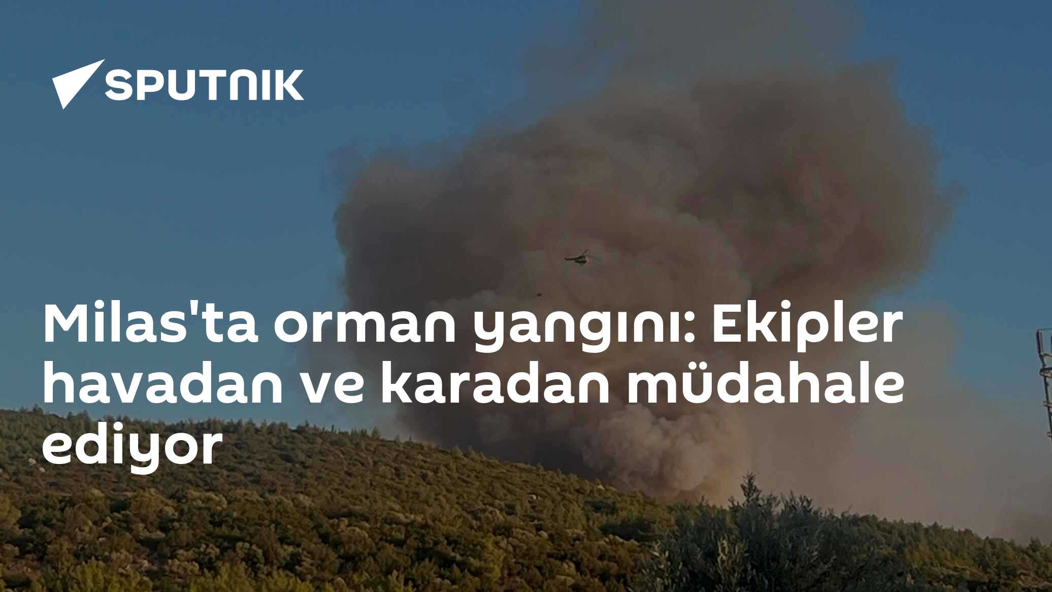 Milas'ta orman yangını: Ekipler havadan ve karadan müdahale ediyor