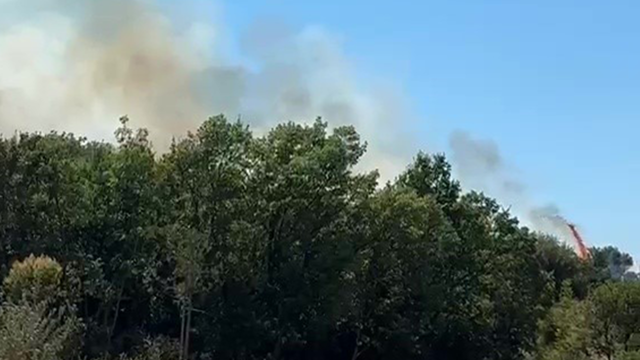 Kestel'deki orman yangını söndürüldü